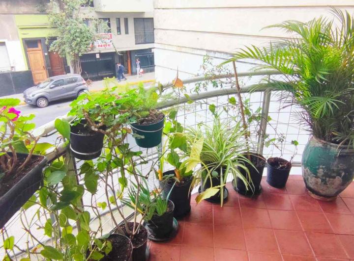 Departamento · 40m² · 2 Ambientes