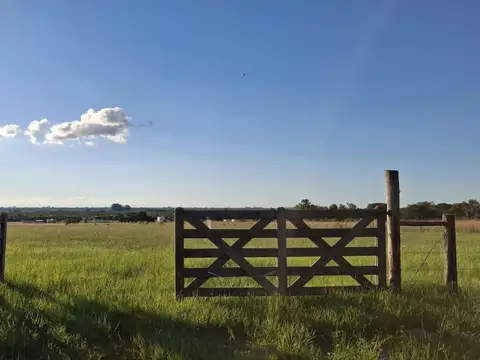 Terreno en Venta en Colonia Carolina, Goya