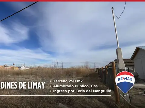 Terreno en Venta en China Muerta, Confluencia