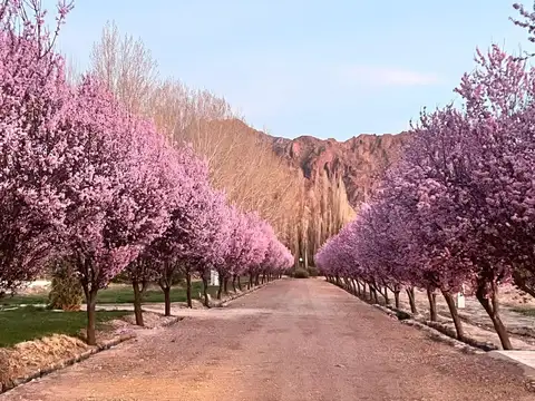 Terreno en Venta en Uspallata, Las Heras