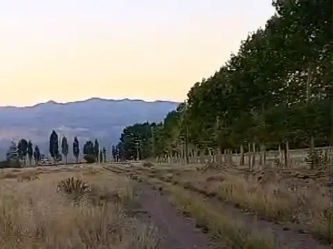 Terreno en Venta en Uspallata, Las Heras