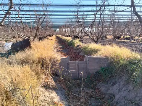 Campo en Venta en Los Campamentos, General Alvear