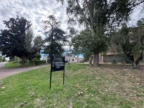 Negocio especial en Venta en Algarrobo Grande, Junín