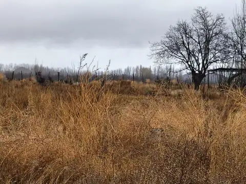 Terreno en Venta en San José de Tupungato, Tupungato