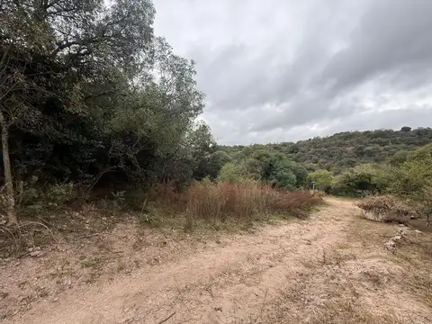 Terreno en Venta en Rio Ceballos, Colón