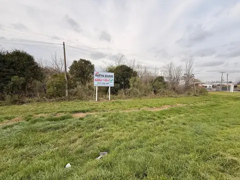 Terreno en Alquiler en Pavon, Partido de Exaltación de la Cruz