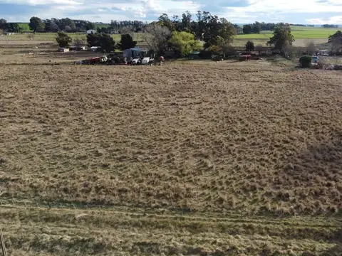 Campo en Venta en Napaleofu, Partido de Balcarce