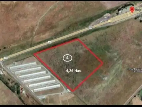 Campo en Venta en Uribelarrea, Partido de Cañuelas