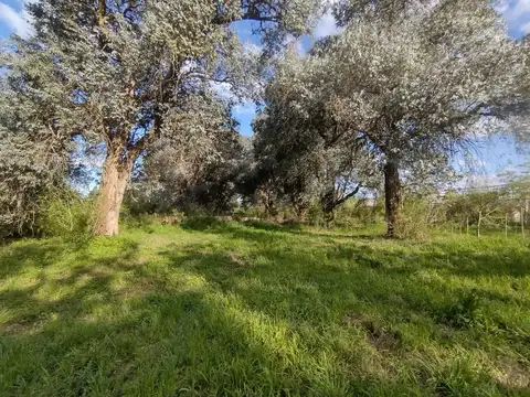 Campo en Venta en Centro Agricola el Pato, Partido de Berazategui