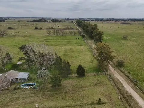 Campo en Venta en Coronel Brandsen, Partido de Brandsen
