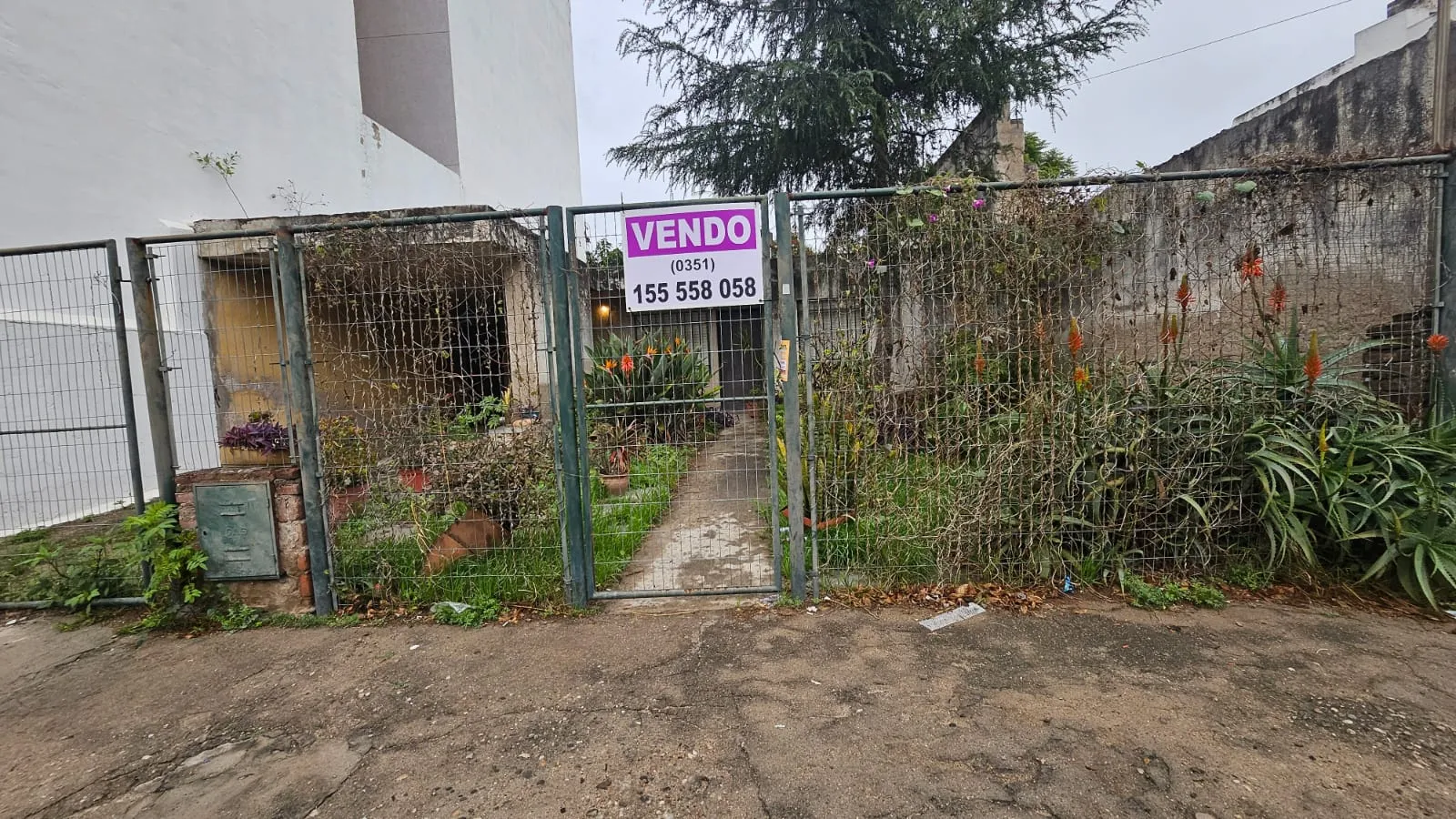Excelente lote 10 × 25 apto edificio zona C 5 a mtrs Plaza Jerónimo dl Barco