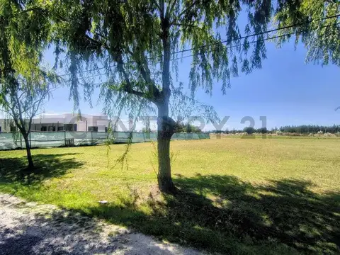 Terreno en Venta en Coronel Brandsen, Partido de Brandsen