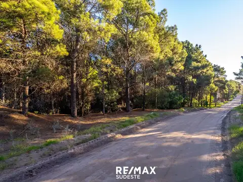 Terreno en Venta en Monte Hermoso, Partido de Monte Hermoso