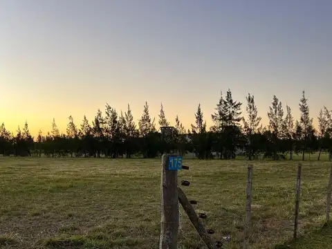 Terreno en Venta en San Miguel del Monte, Partido de Monte