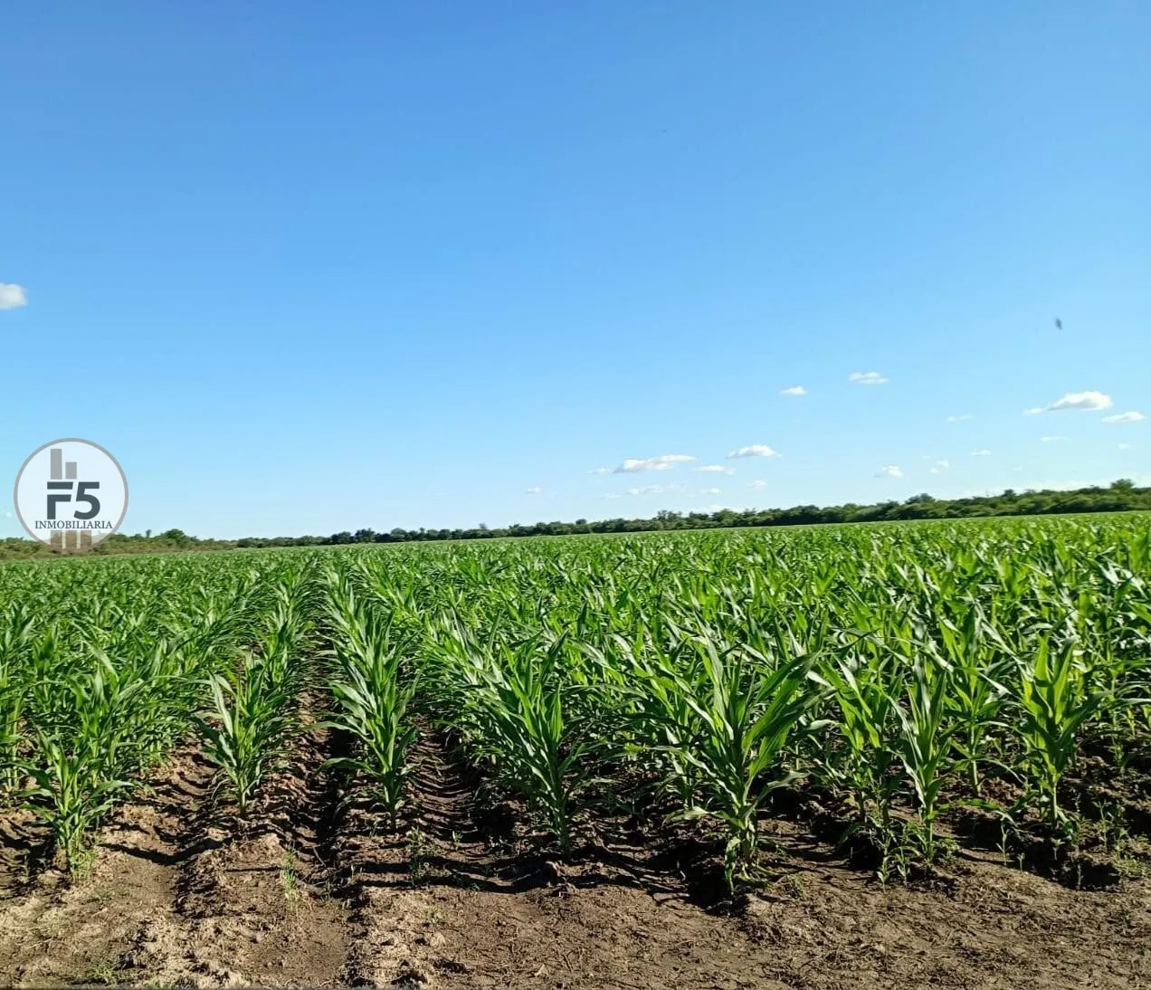 Venta de Campo en Los Romeros