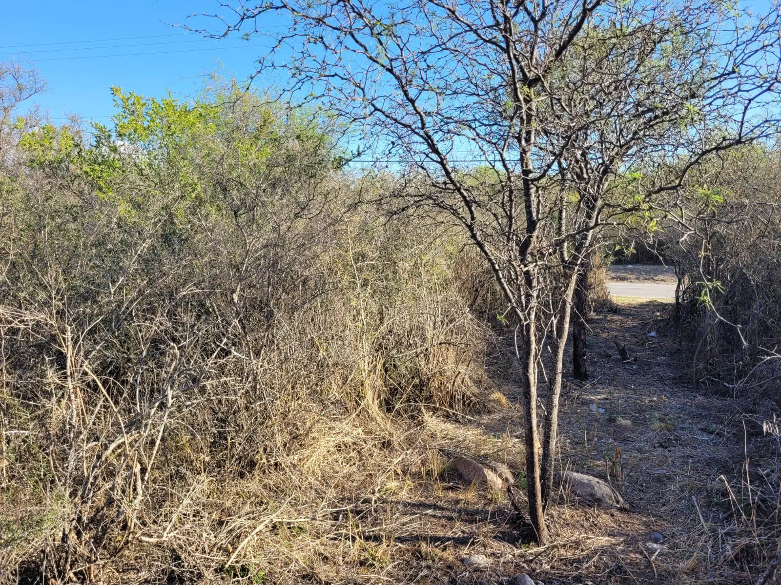 Terreno en venta en Villa De Las Rosas