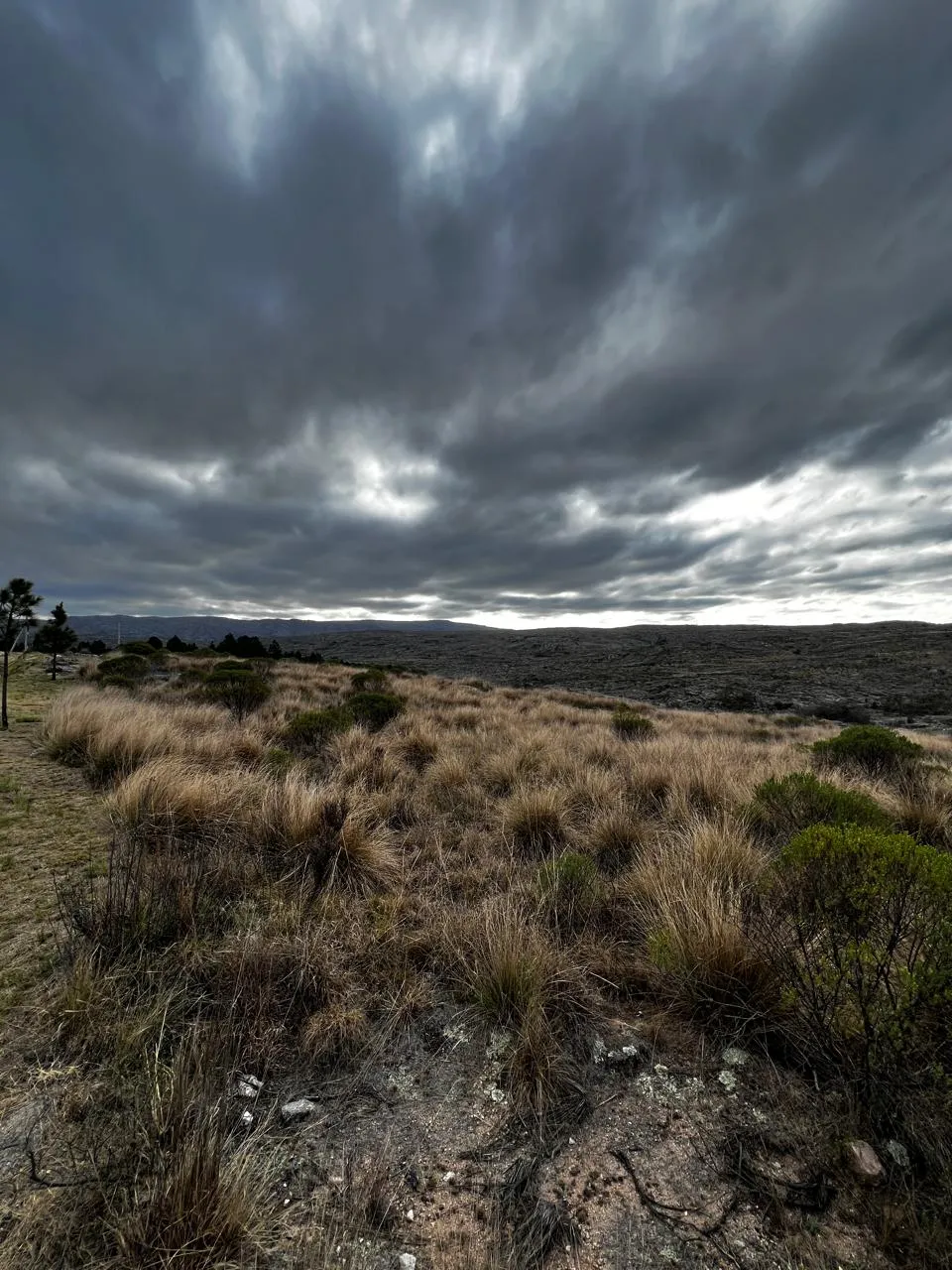 LOTE A LA VENTA CON BAJADA AL RIO - LOTEO LAS MARGARITAS DEL YUSPE