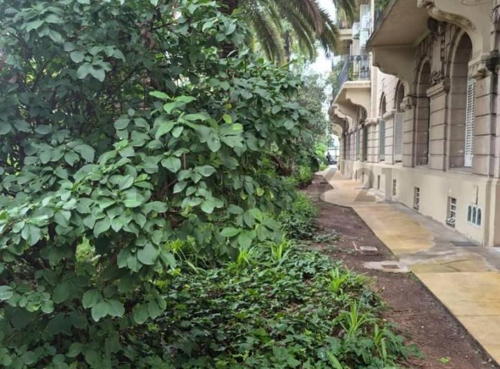 Departamento · 101m² · 4 Ambientes