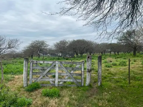 Campo en Venta en Sauce, Concepción