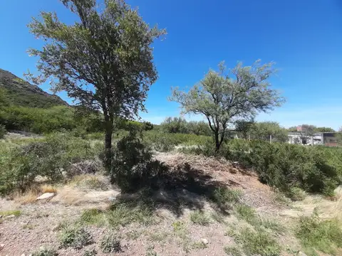 Terreno en Venta en La Punta, Juan Martín de Pueyrredón