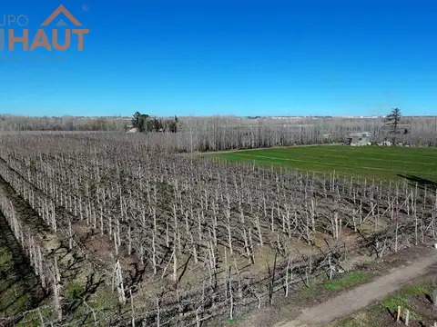 Campo en Venta en Cipolletti, General Roca