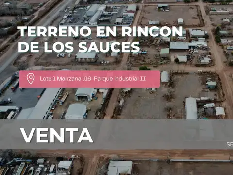 Terreno en Venta en Rincón de los Sauces, Pehuenches
