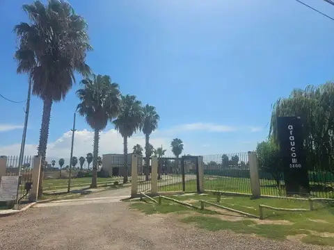 Terreno en Venta en Los Corralitos, Guaymallén