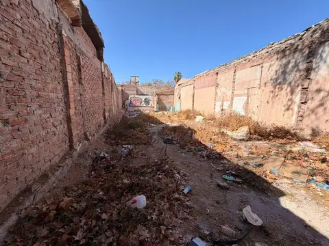 Terreno en Venta en Primera Seccion, Mendoza