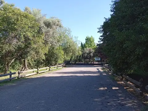 Terreno en Venta en Lujan de Cuyo, Luján de Cuyo