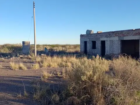 Campo en Venta en Santa Rosa, Mendoza