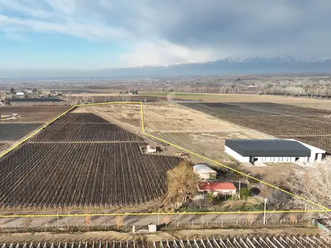 Campo en Venta en El Peral, Tupungato