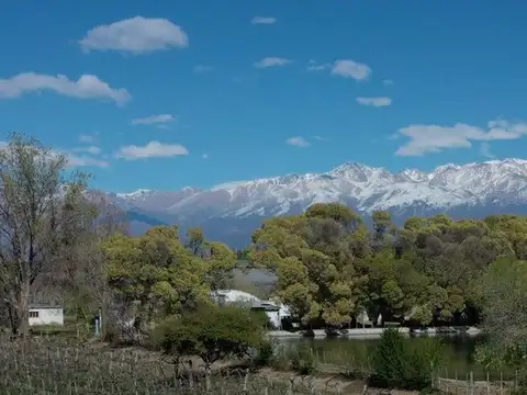 Campo en Venta en Tupungato, Mendoza