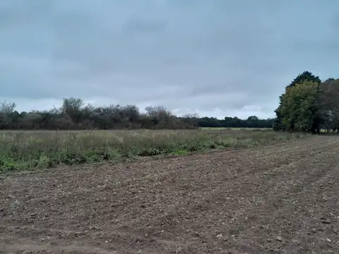 Terreno en Venta en Caseros Este, Capital