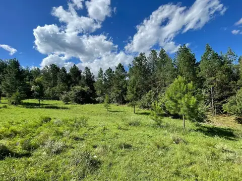 Terreno en Venta en Los Reartes, Calamuchita