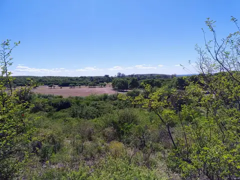 Terreno en Venta en La Pampa, Totoral