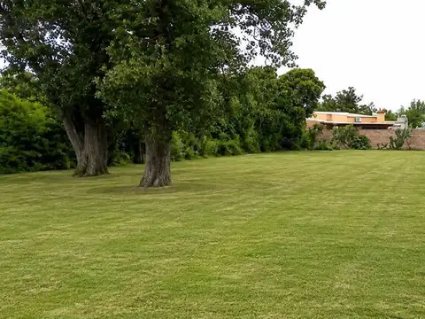 Terreno en Venta en Felicia, Las Colonias
