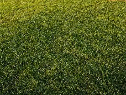 Terreno en Venta en Villa Amelia, Rosario