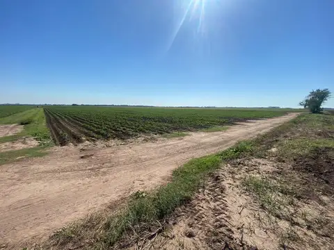 Terreno en Venta en General Lagos, Rosario