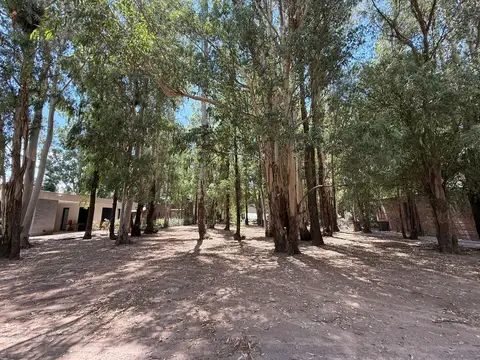 Terreno en Venta en General Lagos, Rosario
