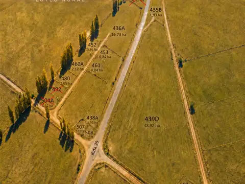 Campo en Venta en Jeppener, Partido de Brandsen
