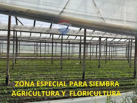 Campo en Venta en Abasto, Partido de La Plata