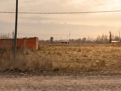 Terreno en Venta en Allen, General Roca