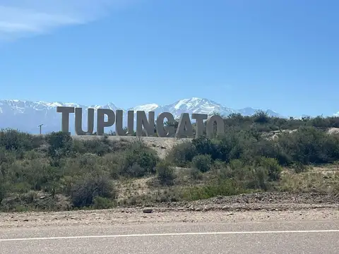 Terreno en Venta en Villa Bastias, Tupungato
