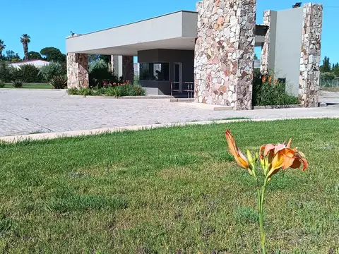 Terreno en Venta en Maipú, Mendoza