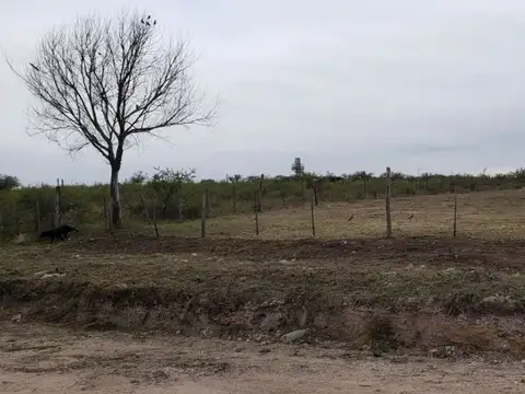 Terreno en Venta en Villa Santa Cruz del Lago, Punilla