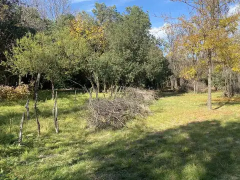 Terreno en Venta en Los Molles, San Javier