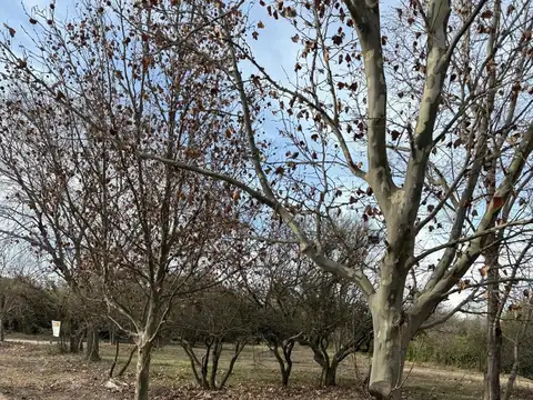 Terreno en Venta en La Cumbre, Punilla