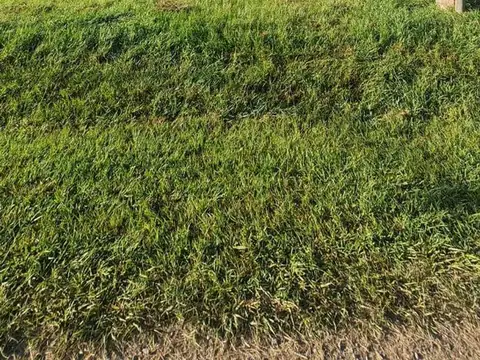 Terreno en Venta en Pujato Norte, Las Colonias