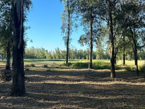 Terreno en Venta en Oliveros, Iriondo