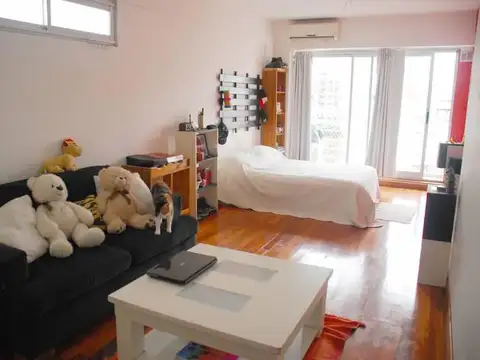 Departamento en Venta en Botanico, Palermo